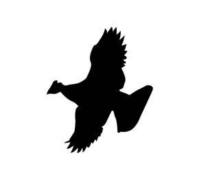 Grouse Creek Property Management Grouse Creek Property Management