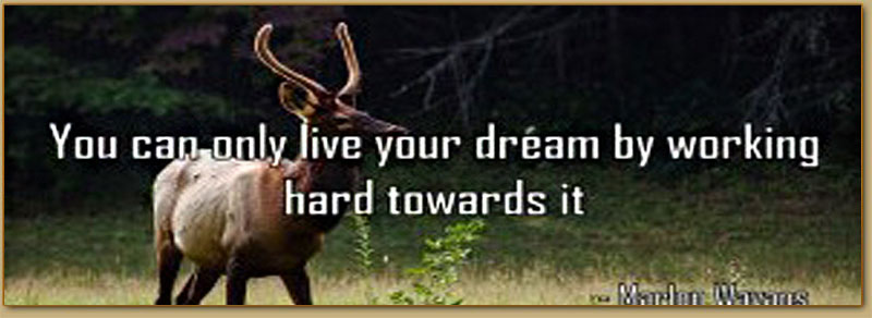 A dream doesn't become reality through magic; it takes sweat, determination and hard work. Colin Powell A dream doesn't become reality through magic; it takes sweat, determination and hard work. Colin Powell